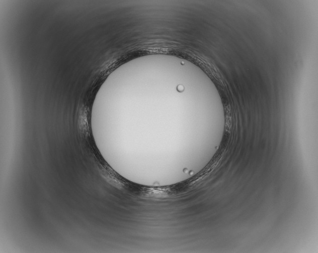 X0000113580573200909181022