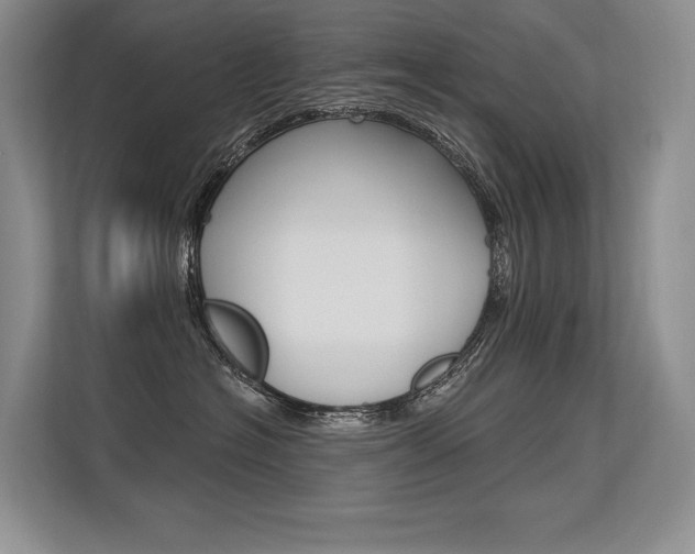 X0000113580574200909181022