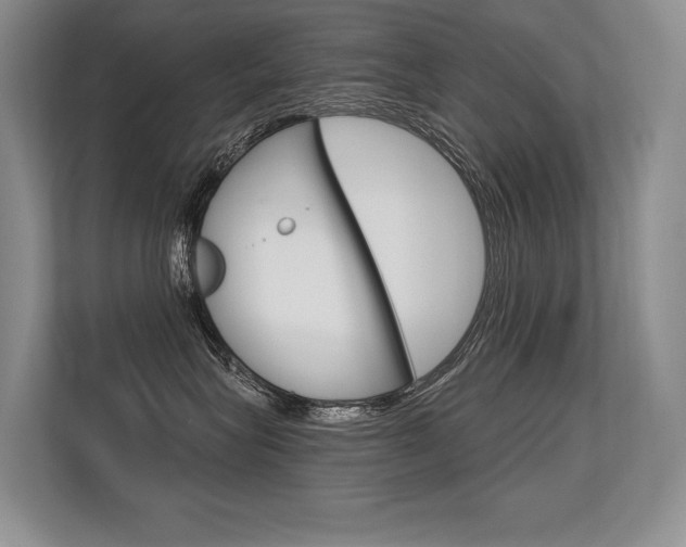 X0000113580575200909181022