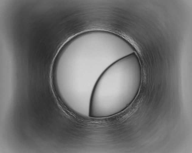 X0000113580580200909181021