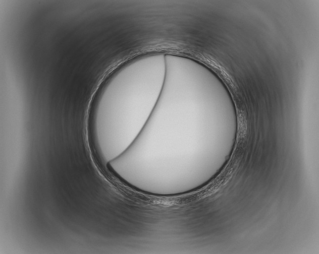 X0000113580582200909181021