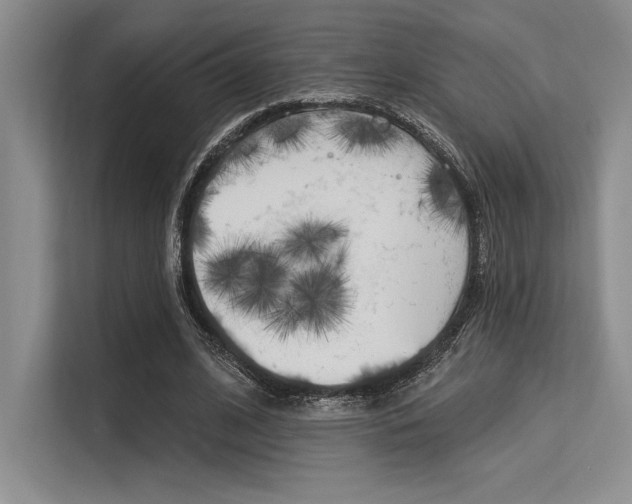 X0000113580584200909181021