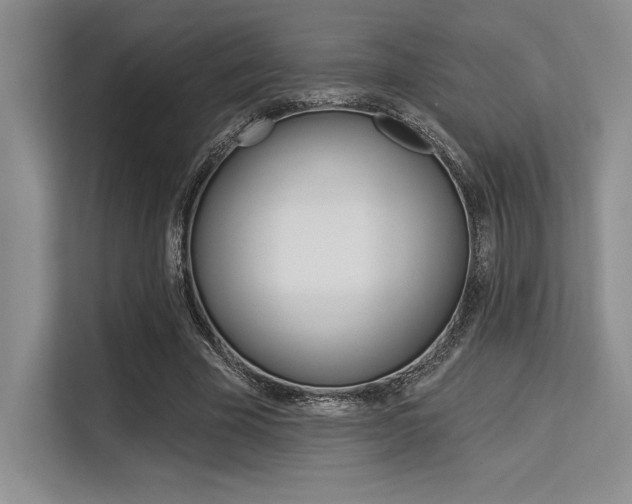 X0000113580585200909181021