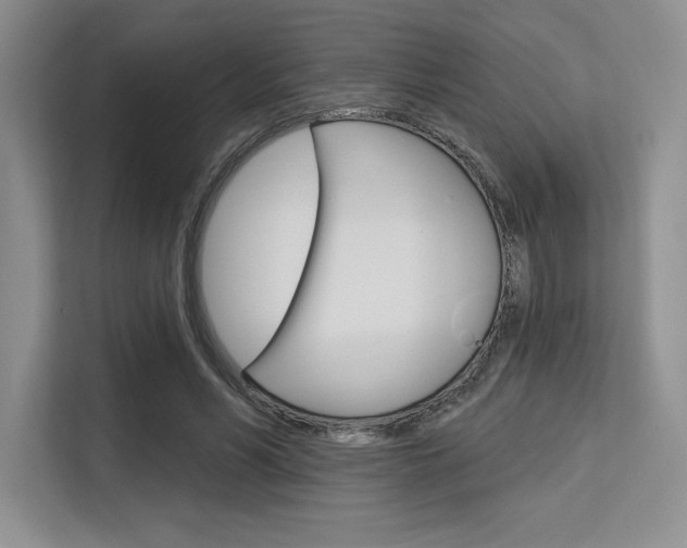 X0000113580590200909181021