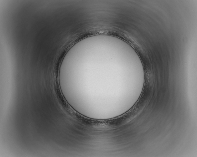 X0000113580594200909181021
