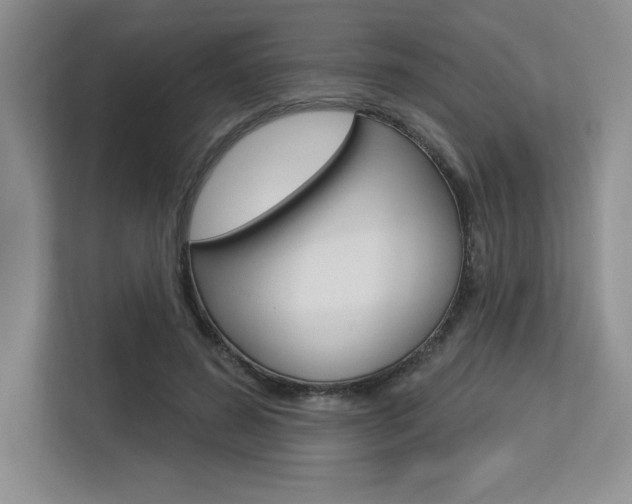 X0000113580596200909181021