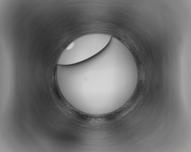X0000113580599200909181021