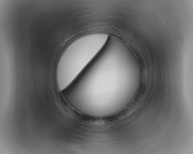 X0000113580600200909181021