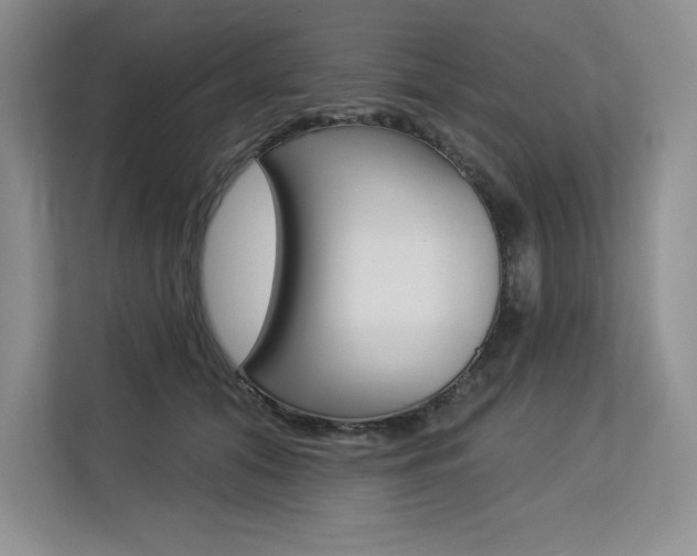 X0000113580608200909181021