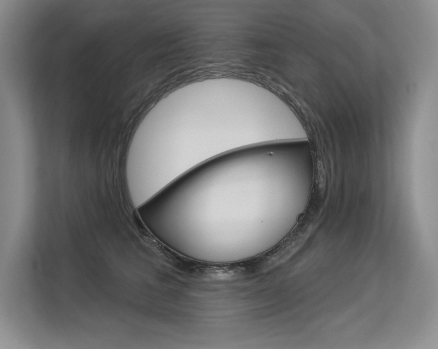 X0000113580613200909181021