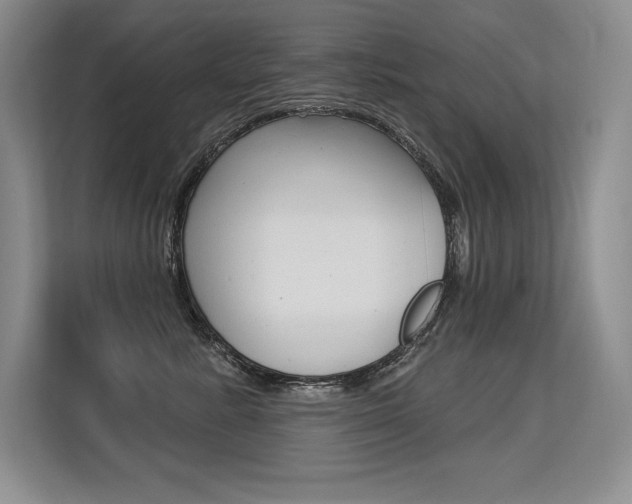 X0000113580619200909181021