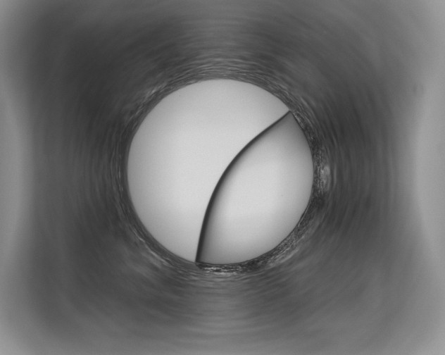 X0000113580620200909181021