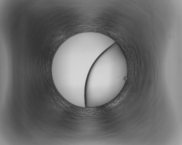 X0000113580624200909181021