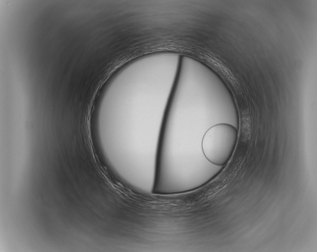 X0000113580626200909181020