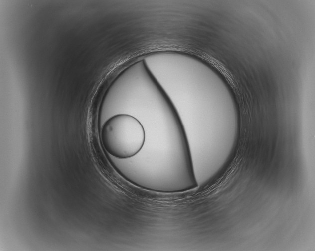 X0000113580627200909181020
