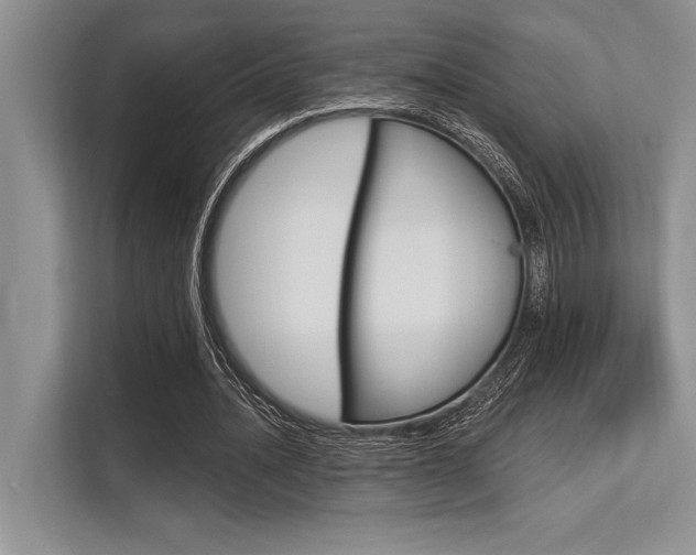 X0000113580628200909181020