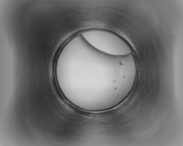 X0000113580629200909181020
