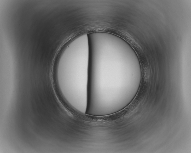 X0000113580634200909181020
