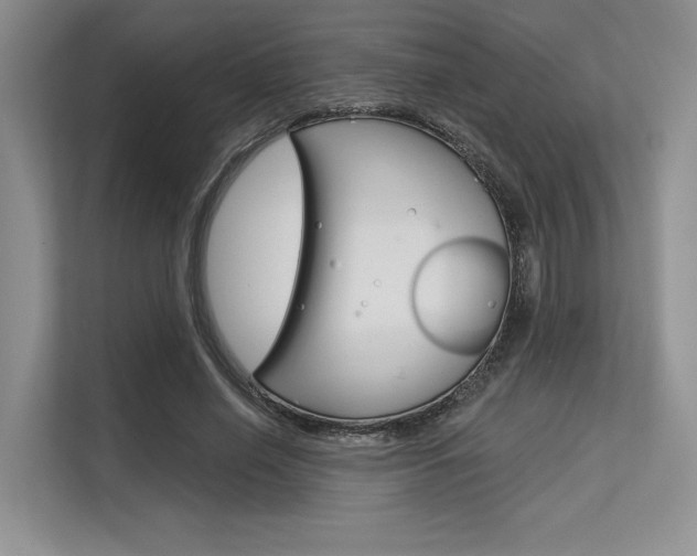 X0000113580638200909181020