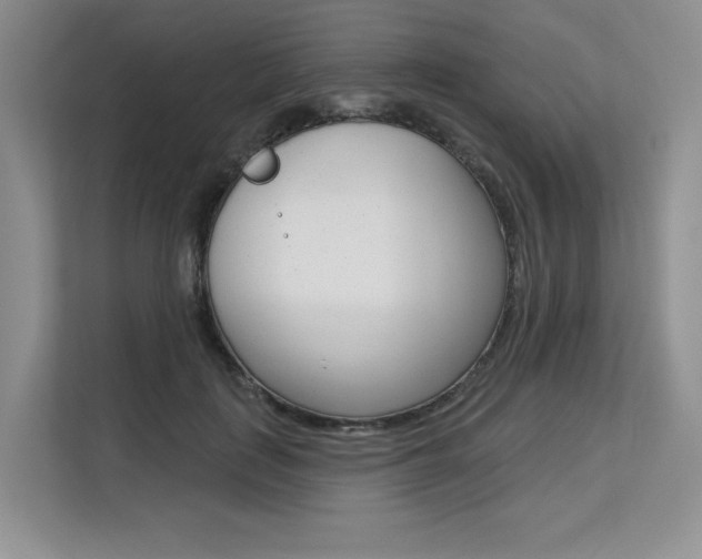 X0000113580651200909181020