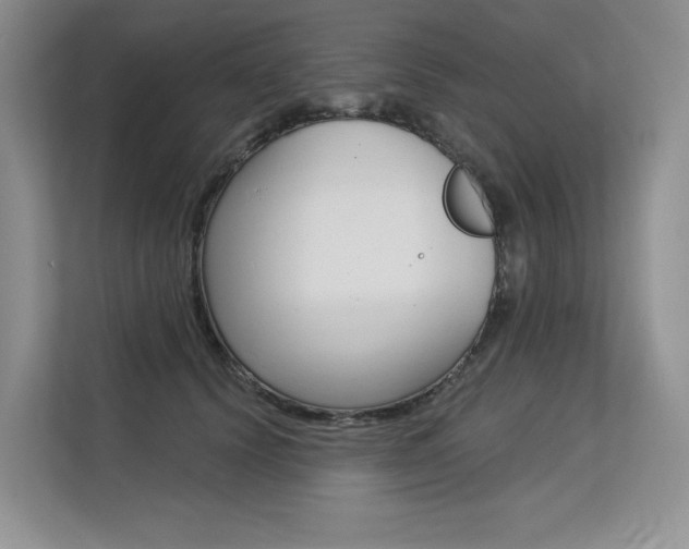X0000113580656200909181020