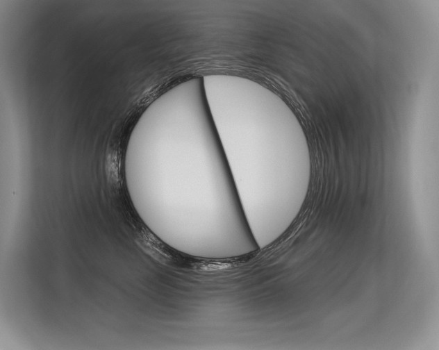 X0000113580669200909181021
