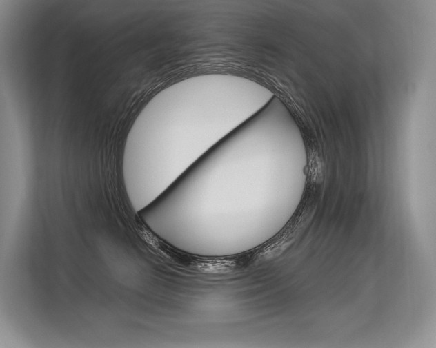 X0000113580670200909181021