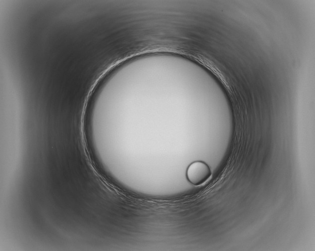 X0000113580676200909181020