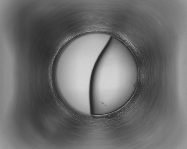 X0000113580679200909181020