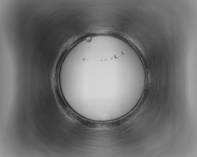X0000113580682200909181020