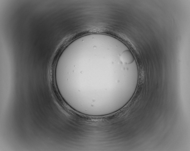 X0000113580686200909181020