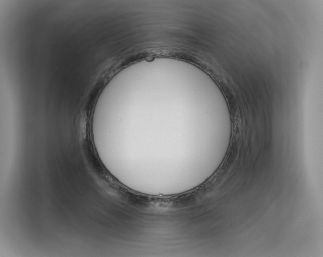 X0000113580694200909181020