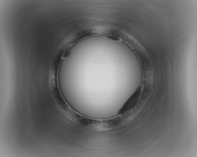 X0000113580696200909181020