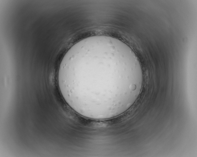 X0000113580698200909181020