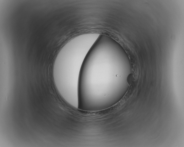 X0000113580704200909181020