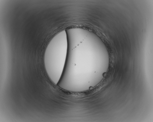 X0000113580707200909181020
