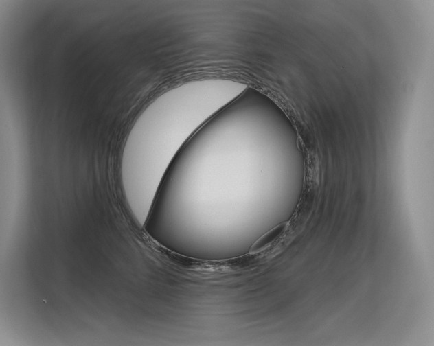 X0000113580712200909181020
