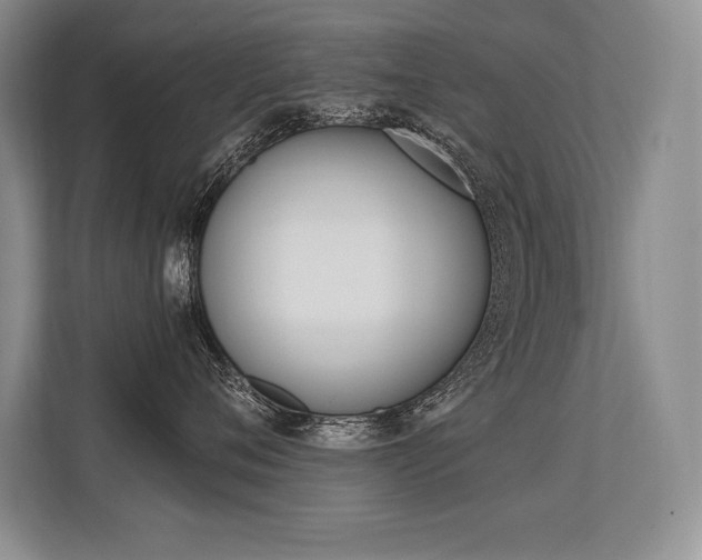X0000113580720200909181019
