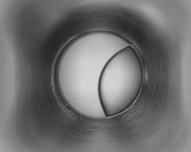 X0000113580724200909181019