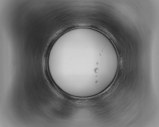 X0000113580725200909181019