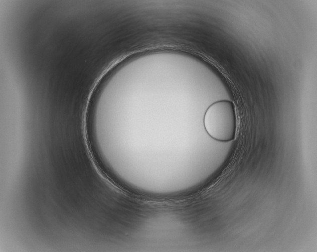 X0000113580726200909181019