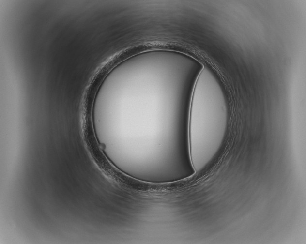 X0000113580728200909181019