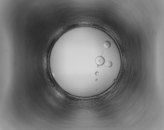 X0000113580729200909181019