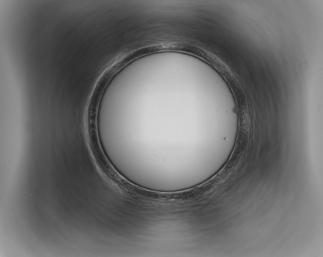 X0000113580730200909181019