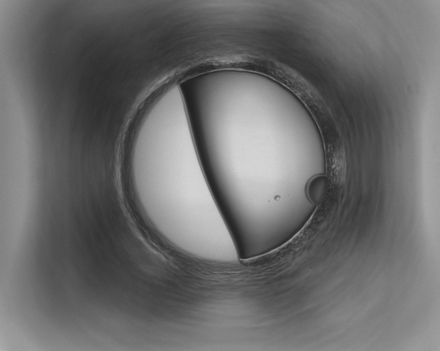 X0000113580732200909181019