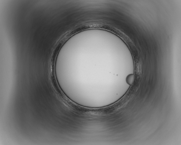 X0000113580733200909181019