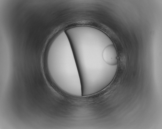 X0000113580734200909181019