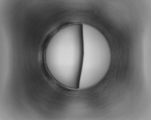 X0000113580735200909181019