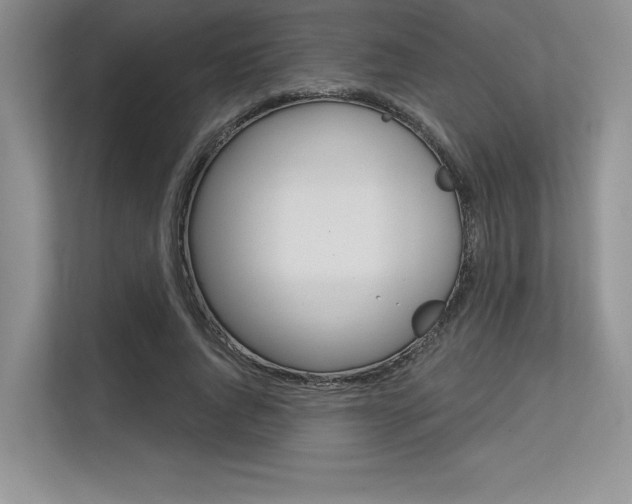 X0000113580736200909181019