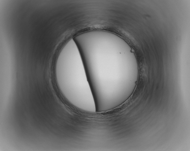 X0000113580738200909181019